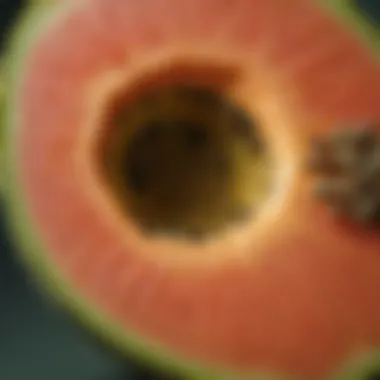 A close-up of unripe papaya with its seeds, emphasizing its unique structure