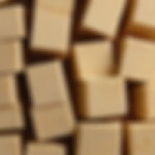 A close-up view of pure cocoa butter blocks, highlighting its rich texture and color.