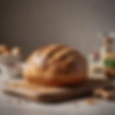 Diverse Bread Recipes and the Role of the Paddle Various bread recipes highlighting the versatility of the paddle