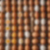 A vibrant display of Walmart's pre-filled eggs showcasing various flavors