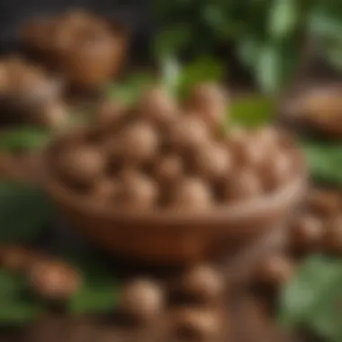 A wooden bowl filled with walnuts surrounded by green leaves