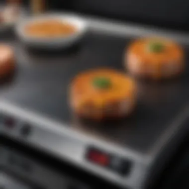 Intuitive Temperature Control for Perfect Results User-friendly controls for precise temperature settings